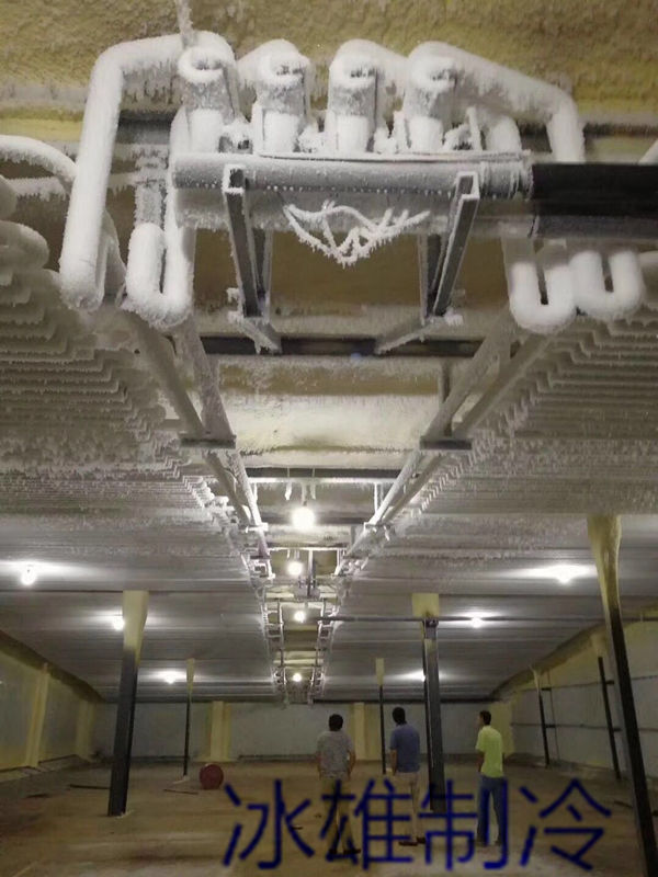 高凌300吨三黄鸡储存冷库